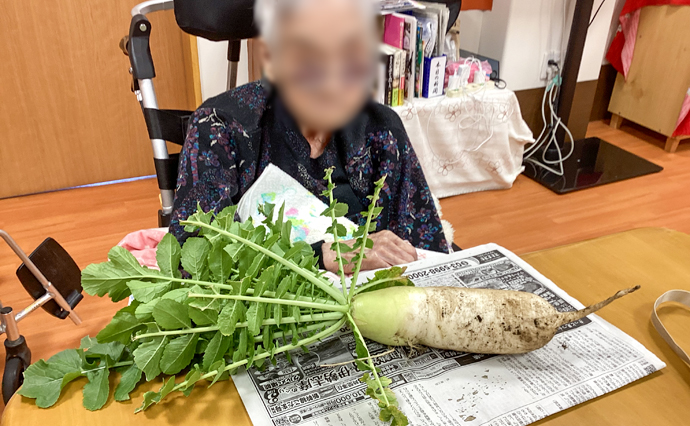 260414HLC_Tama_Radish__2478.jpg