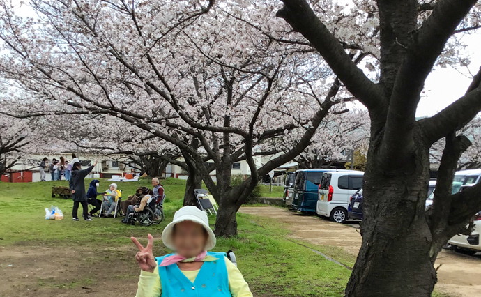 260415HLC_Kakogawa_Hanami_3.jpg