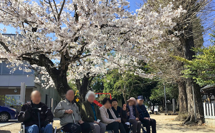 260421HLC_Okazaki_Hanami_3.jpg
