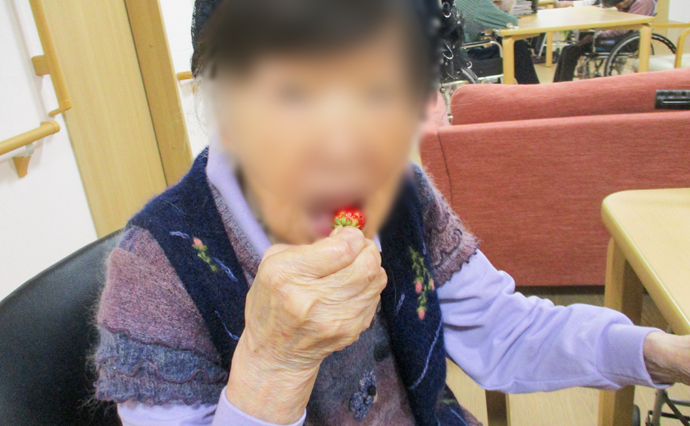260423HLC_Funabashi_strowberry_3.jpg