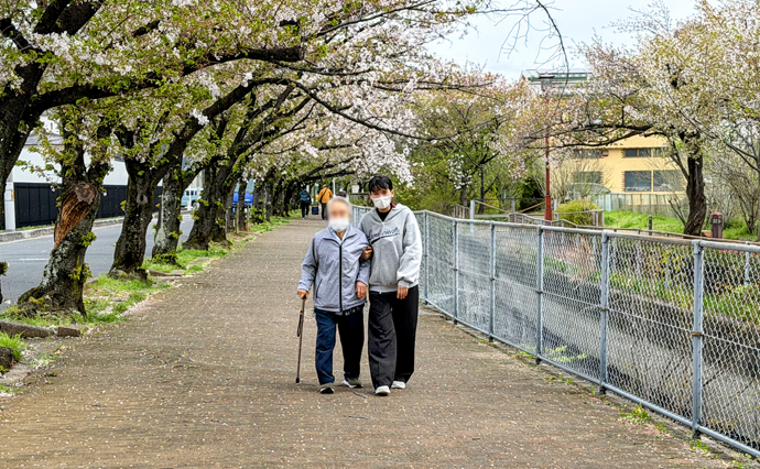 260424HLC_Bunan_Hanami_2.jpg