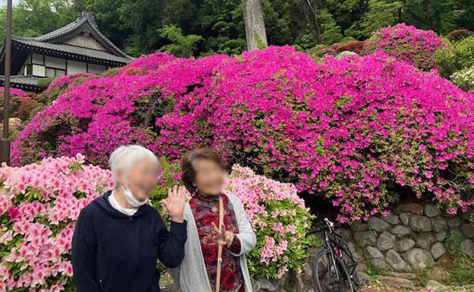 260425HLC_Ozenji_Tsutsuji_4631.jpg