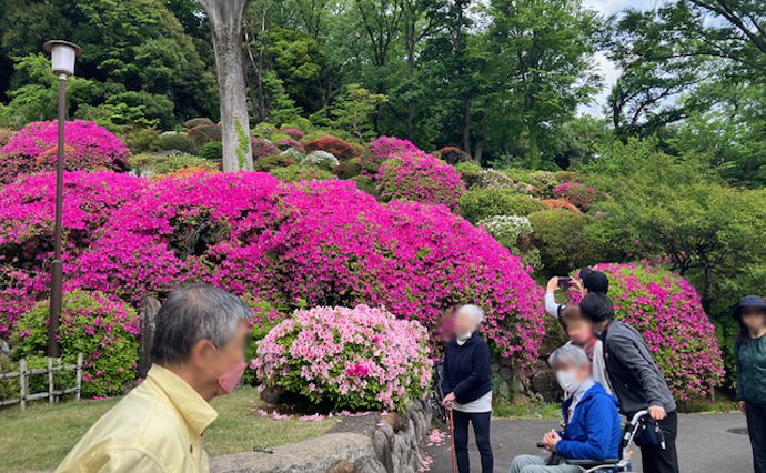 260425HLC_Ozenji_Tsutsuji_4641.jpg