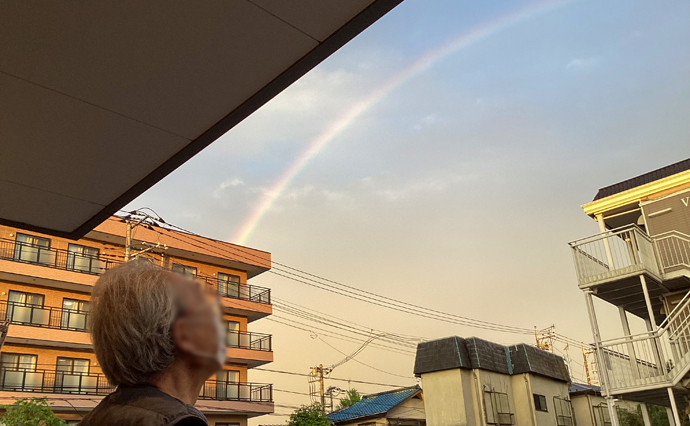 260428HLC_Tama_Rainbow_2.jpg