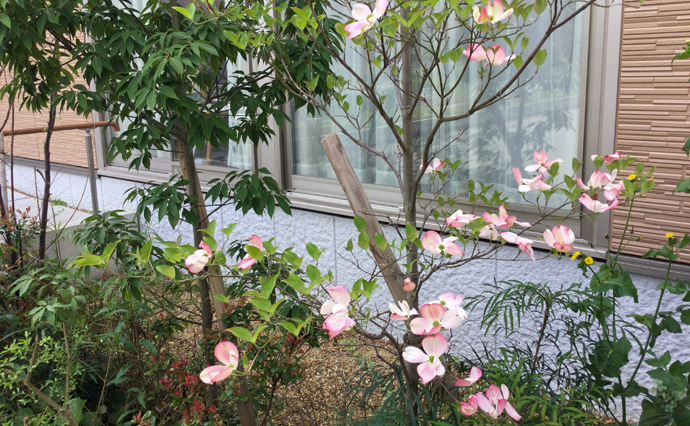 260506HLC_FukakusaGH_Daily_1874.jpg