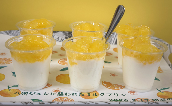 260510HLC_Akashi_milkpuddhing.jpg