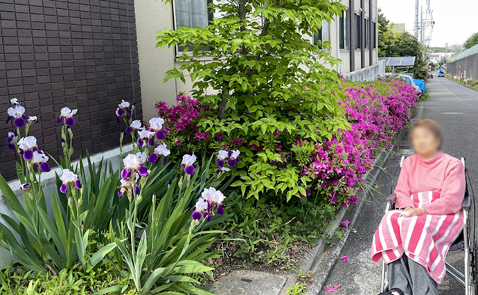 260510HLC_Sugesengoku_Flower_4.jpg