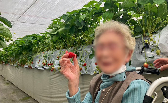260515HLC_Ozenji_Strowberry_5319.jpg