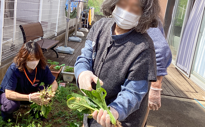 260522HLC_Miyamae_turnip_1.jpg