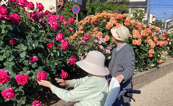 260522HLC_Tama_RoseGarden_1.jpg