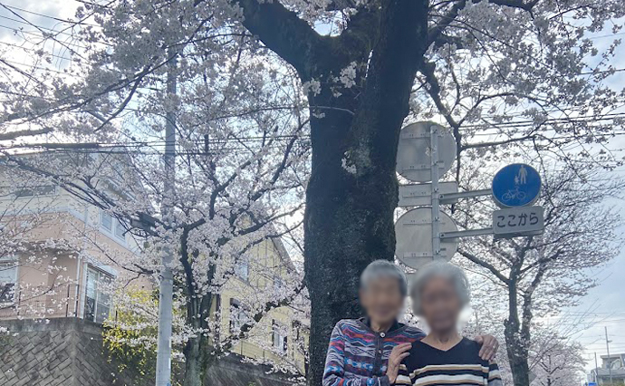 260528HLC_SugesengokuGH_Hanami_4.jpg