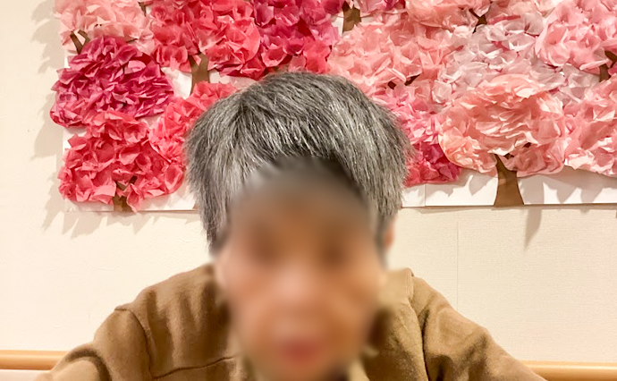260531HLC_Sugesengoku_Sakura_1.jpg
