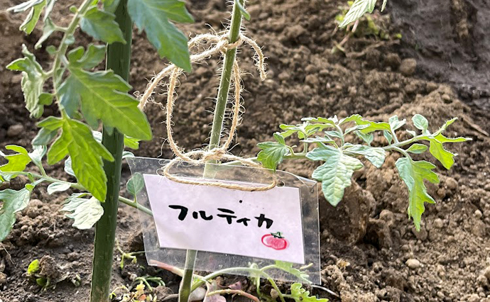260611HLC_Sugesengoku_Garden_6.jpg