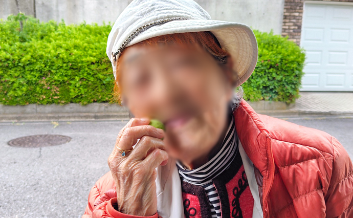 260616HLC_Ozenji_Plum_650.jpg