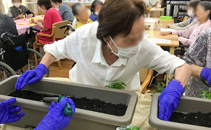 260623HLC_Daito_Gardening_2.jpg