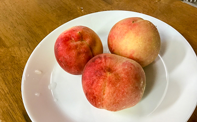 260626HLC_IzumiOtsu_Peach_2660.jpg