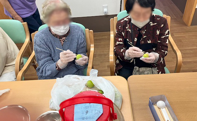 260630HLC_ozenji_PlumSyrup_6288.jpg