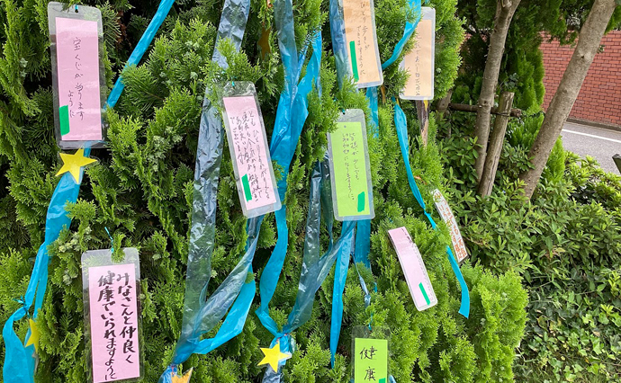 260708HLC_Oizumigakuen_Tanabata_0600.jpg