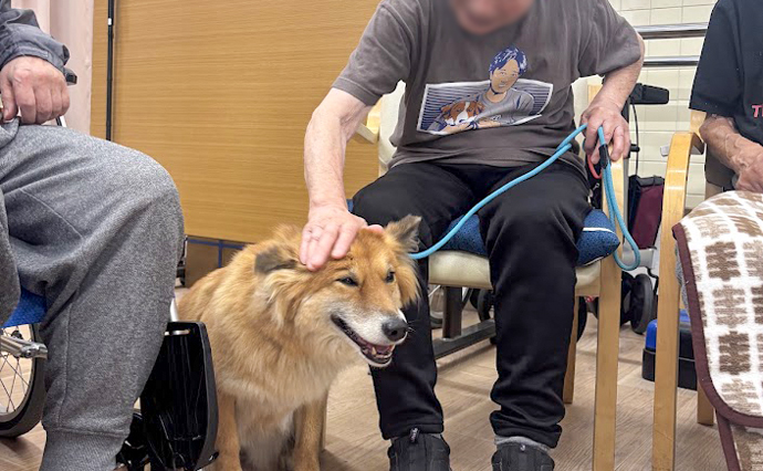 260719HLC_Komatsu_Dogtherapy_1.jpg