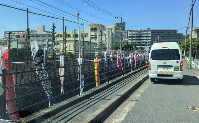 260811HLC_Nagazumi_Spring_1943.jpg