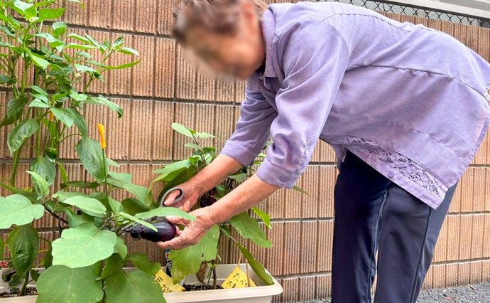 260824HLC_Tsuru_Homegarden__1778.jpg