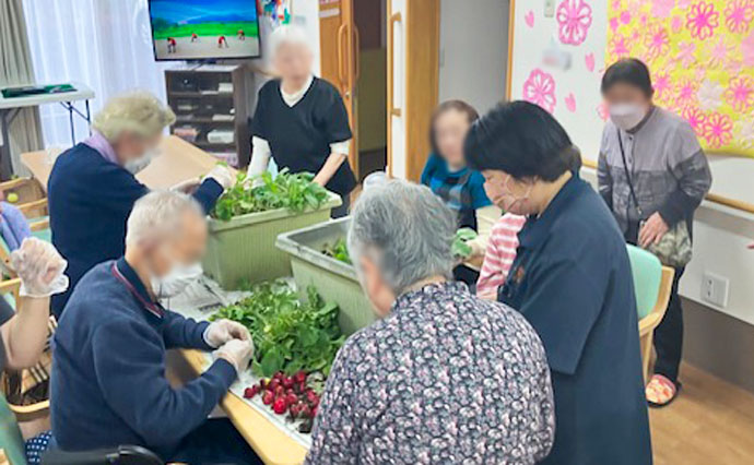 260402HLC_Ozenji_grow vegetables_3732.jpg