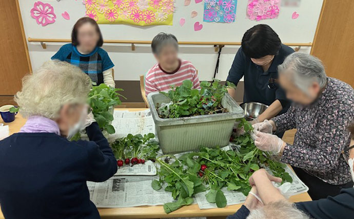 260402HLC_Ozenji_grow vegetables_3719.jpg