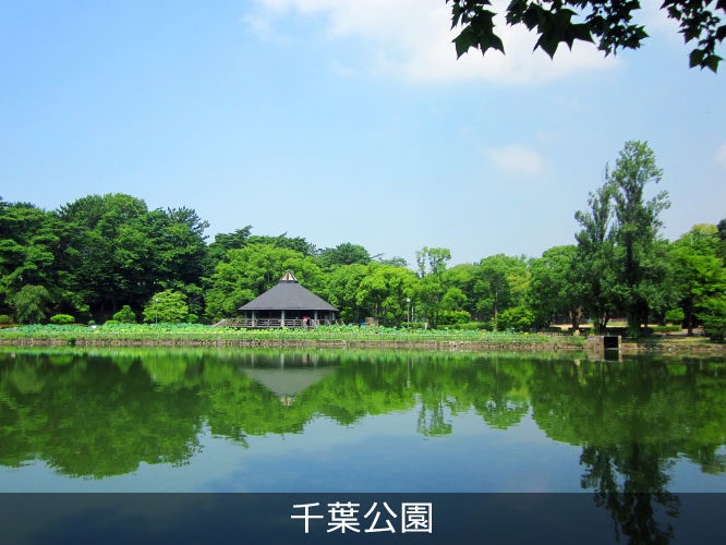 千葉公園