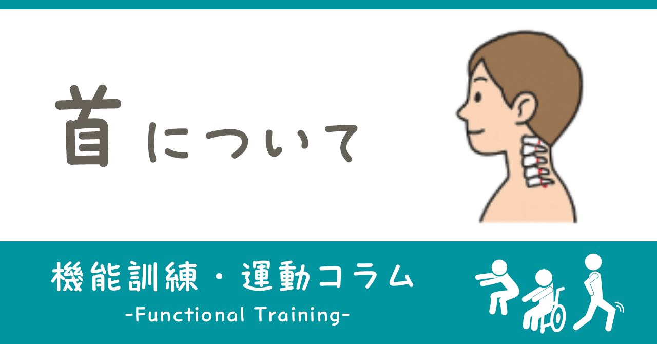 首について|機能訓練・運動コラム|ヒューマンライフケア公式note「+Smile(プラススマイル)」