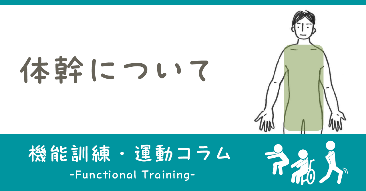 体幹について｜機能訓練・運動コラム｜ヒューマンライフケア公式note「＋Smile（プラススマイル）」