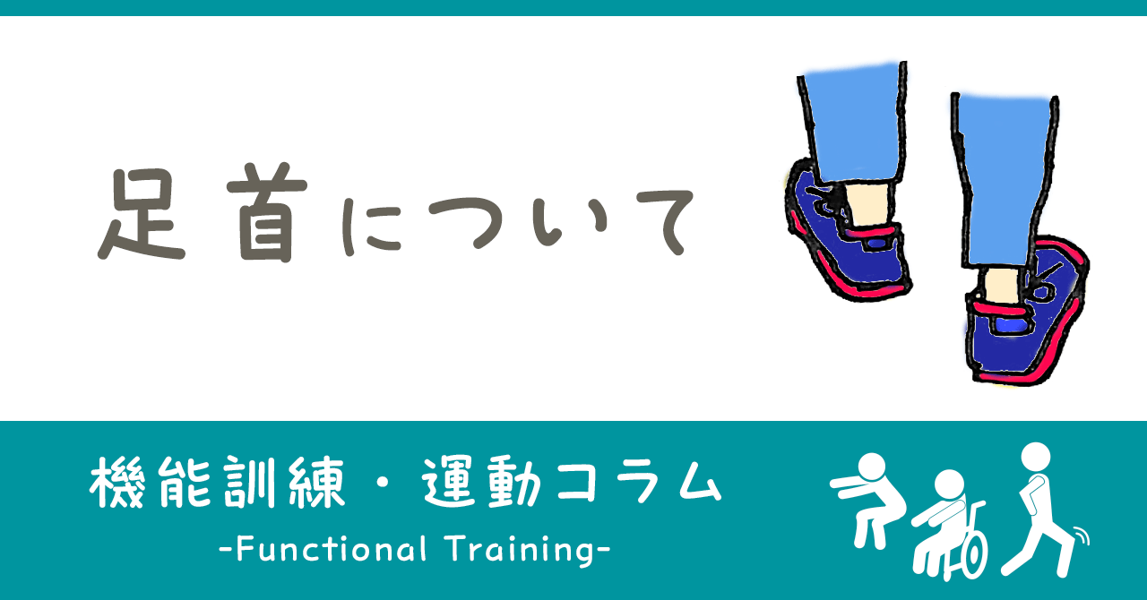 ふくらはぎについて｜機能訓練・運動コラム｜ヒューマンライフケア公式note「＋Smile（プラススマイル）」