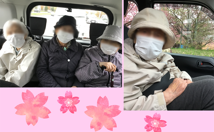 260430HLC_Okurayu_Hanami_1.png