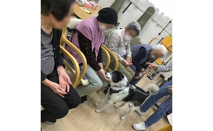 260510HLC_Komatsu_DogTherapy.jpg
