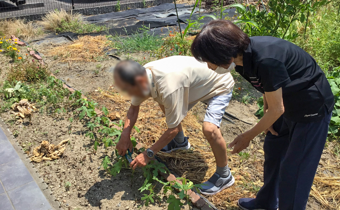 260727HLC_Izumiotsu_homegarden_3466.jpg