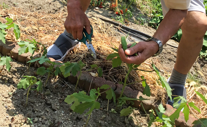 260727HLC_Izumiotsu_homegarden_3468 .jpg