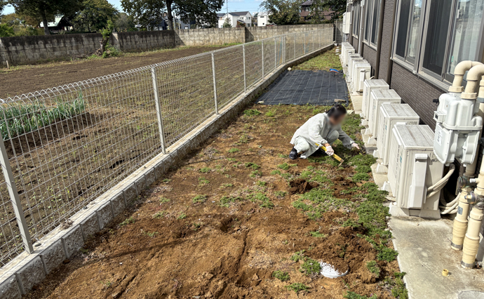 261006HLC_Mihashi_vegetable garden_1.jpg